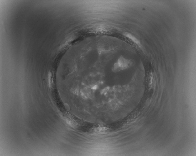 X0000075860695200609291548