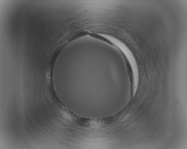 X0000075860697200609291548