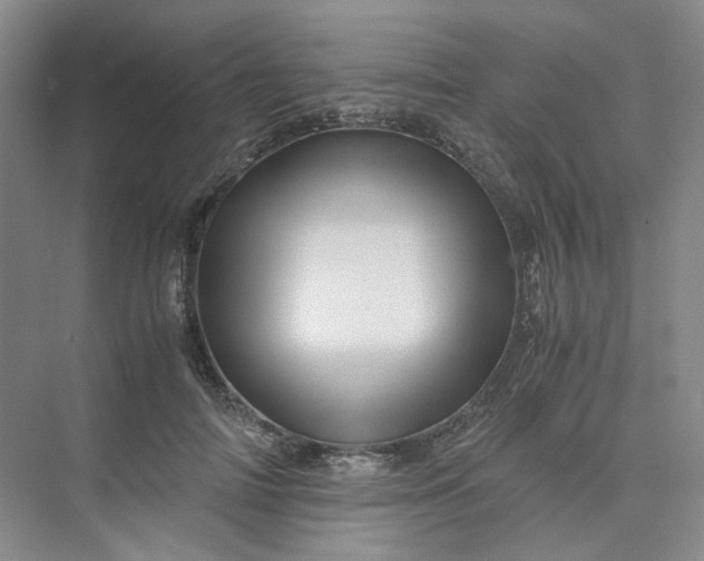 X0000075860698200609291548