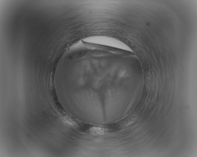 X0000075860699200609291548