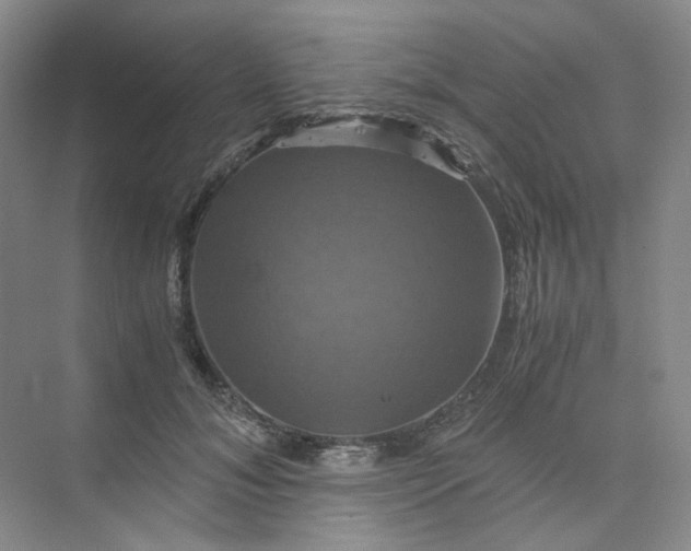 X0000075860700200609291548