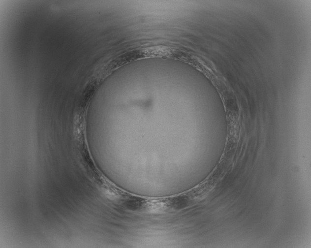 X0000075860701200609291548