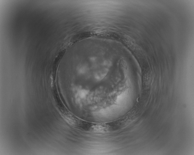 X0000075860703200609291548