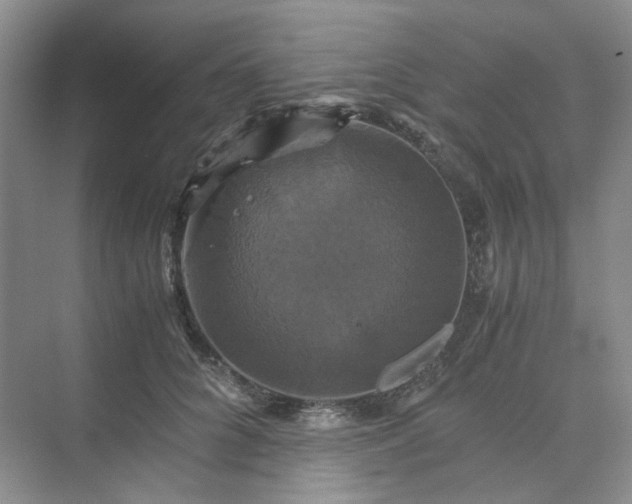 X0000075860704200609291548