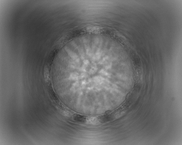 X0000075860705200609291548