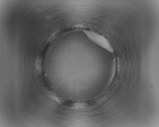 X0000075860708200609291548