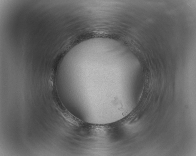 X0000075860710200609291548