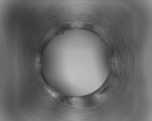 X0000075860714200609291548