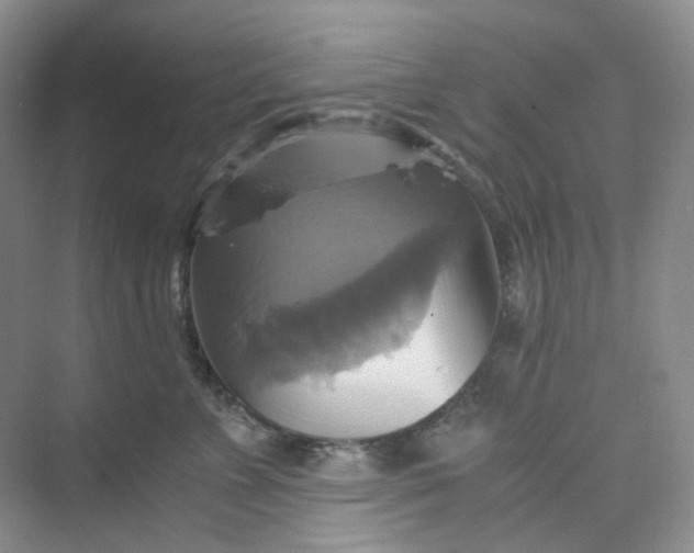 X0000075860715200609291548