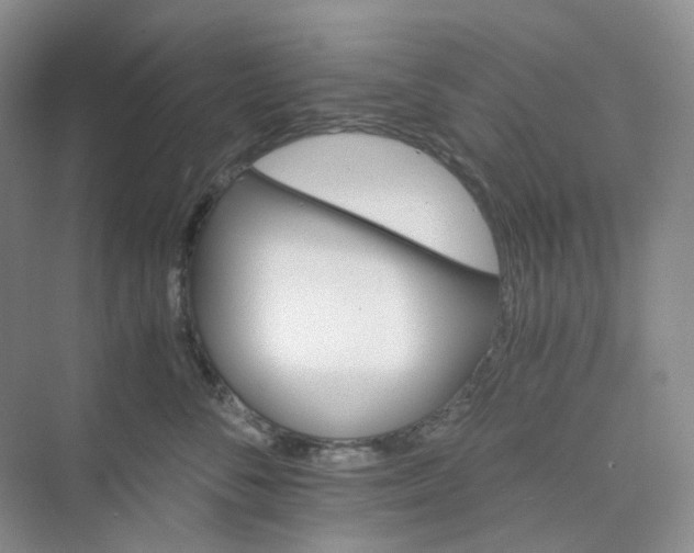 X0000075860716200609291548