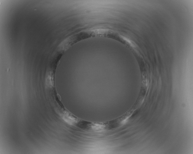 X0000075860718200609291548