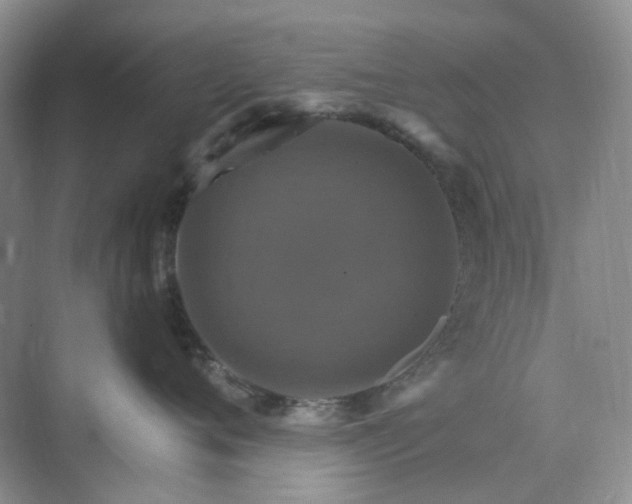 X0000075860720200609291548