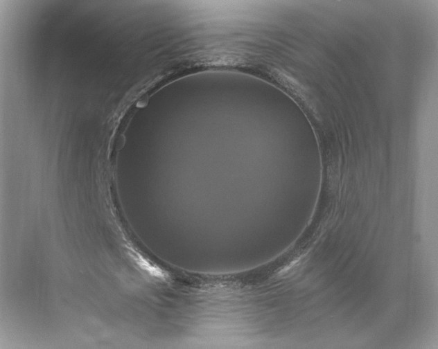 X0000075860721200609291547