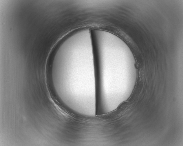 X0000075860722200609291547