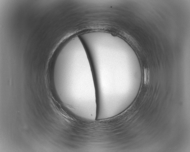 X0000075860723200609291547