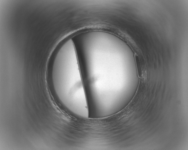 X0000075860724200609291547