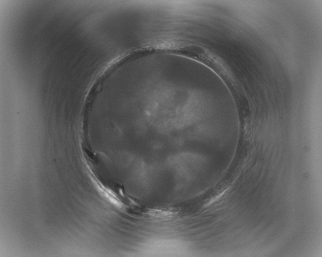 X0000075860725200609291547