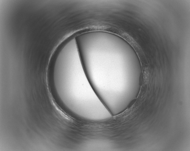 X0000075860726200609291547