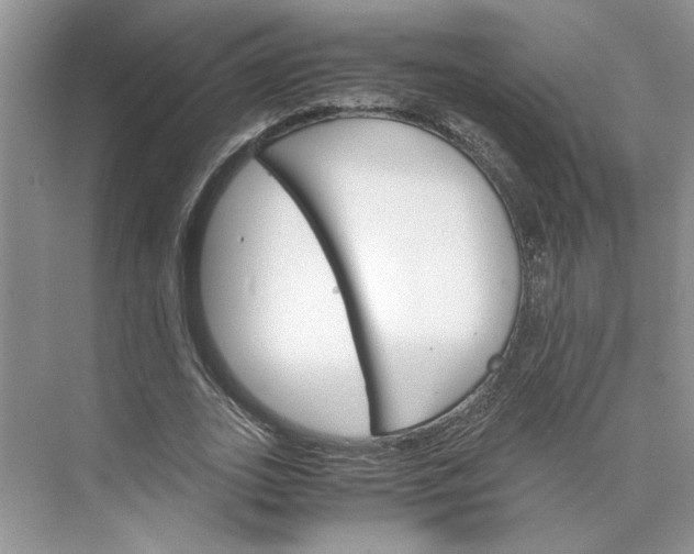 X0000075860727200609291547