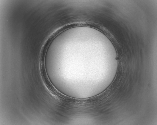 X0000075860728200609291547