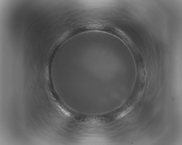 X0000075860729200609291547