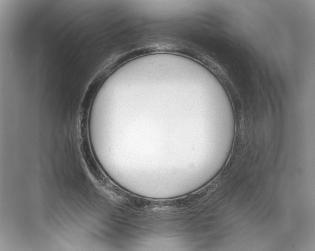 X0000075860730200609291547