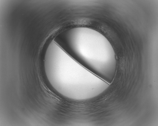 X0000075860731200609291547