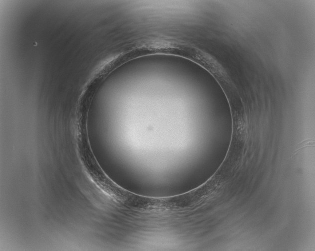 X0000075860732200609291547