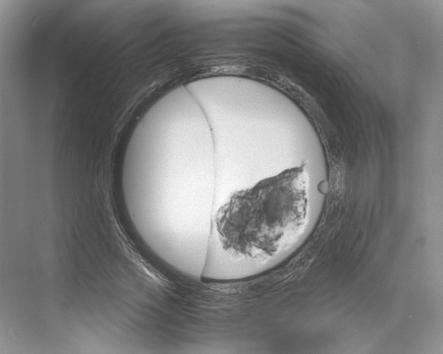 X0000075860733200609291547