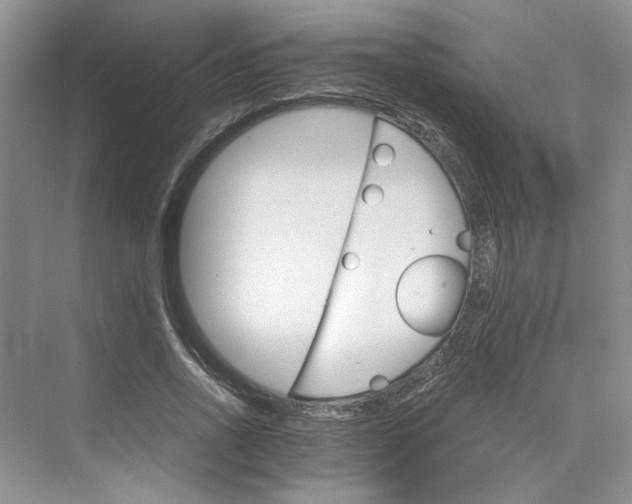 X0000075860734200609291547