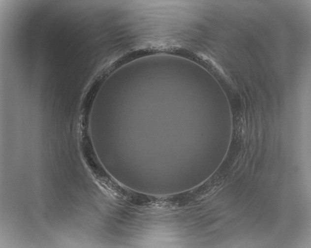 X0000075860736200609291547