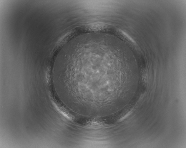 X0000075860737200609291547