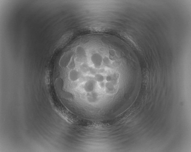 X0000075860738200609291547