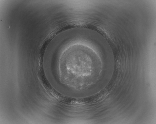 X0000075860739200609291547