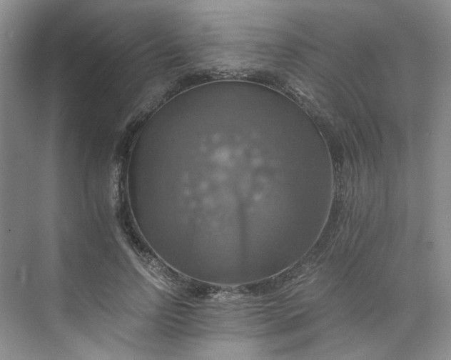 X0000075860742200609291547