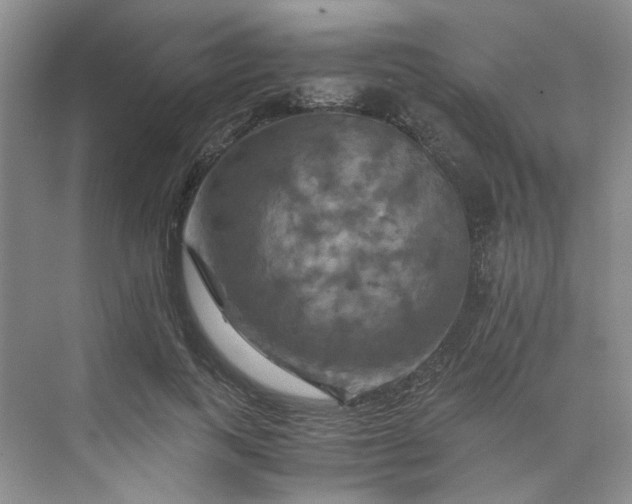 X0000075860743200609291547