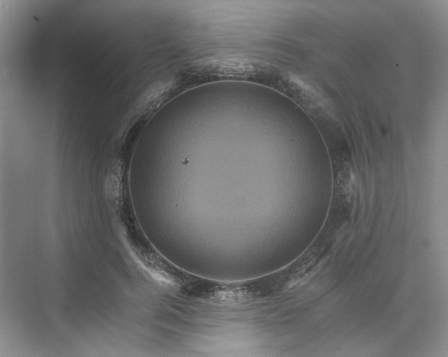 X0000075860744200609291547