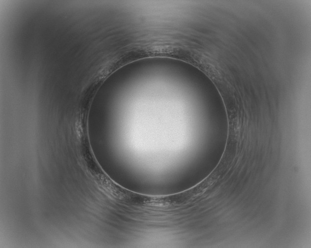 X0000075860746200609291547