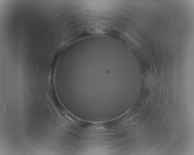 X0000075860747200609291547