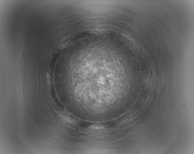 X0000075860749200609291547