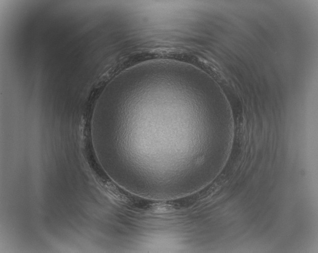 X0000075860750200609291547