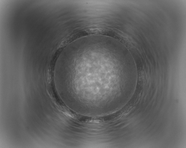 X0000075860751200609291547