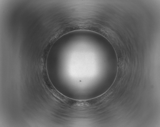 X0000075860752200609291547