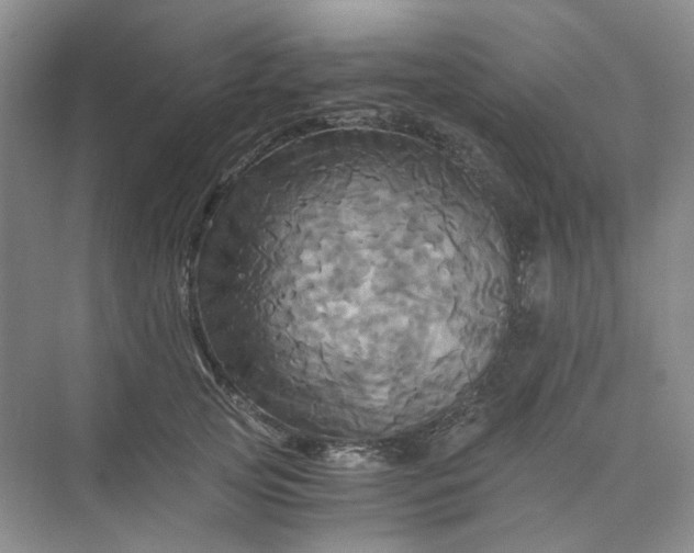 X0000075860753200609291547