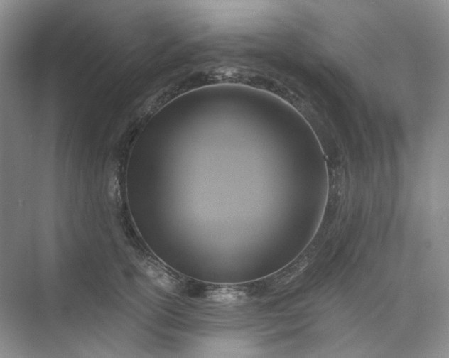 X0000075860754200609291547