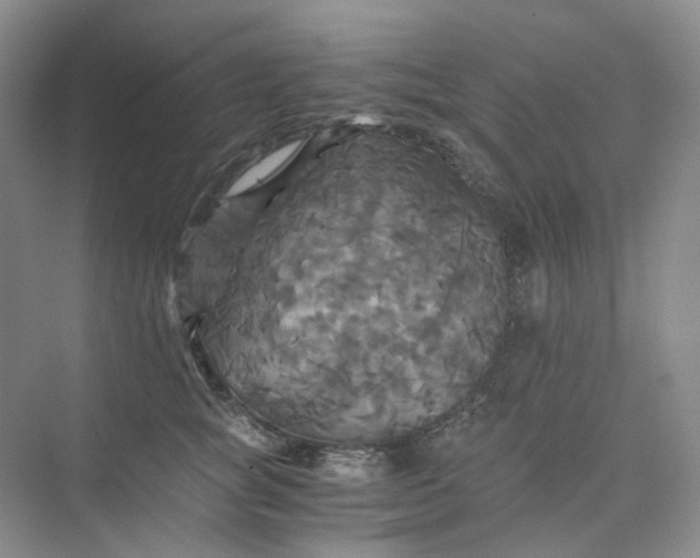 X0000075860757200609291547