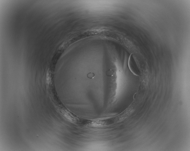 X0000075860758200609291548