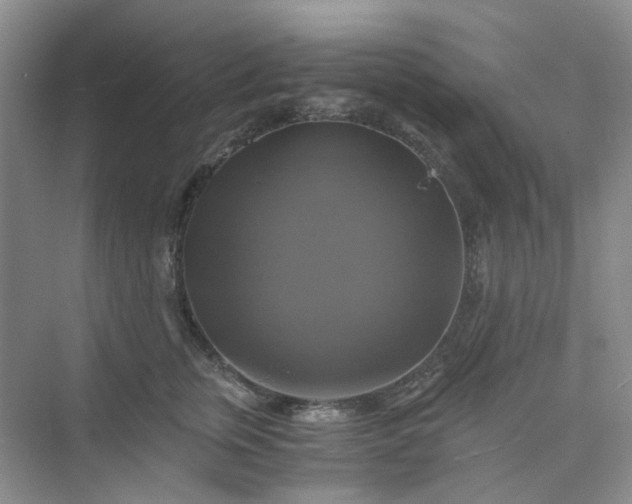 X0000075860759200609291548