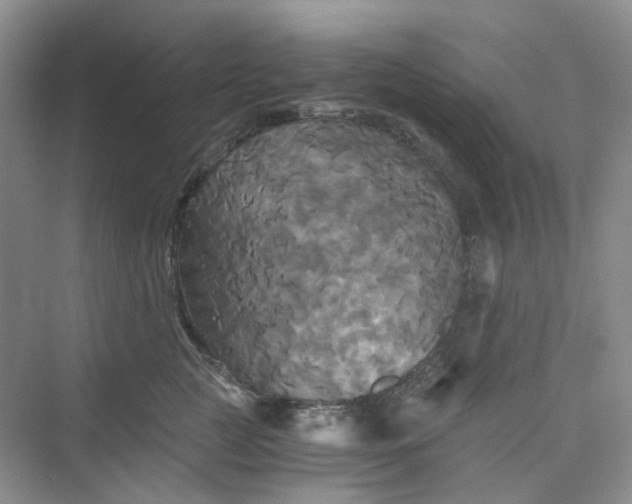 X0000075860761200609291548