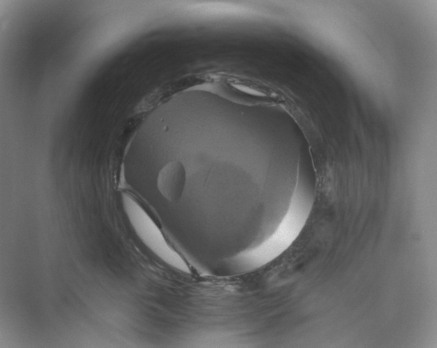 X0000075860763200609291548